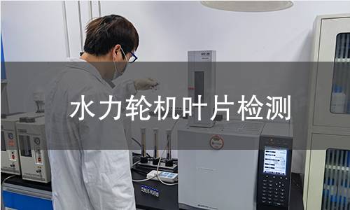 水力輪機葉片檢測 水力輪機葉片檢測