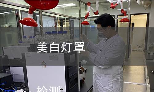 美白燈罩
檢測 美白燈罩
檢測