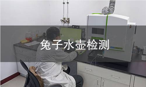 兔子水壺檢測 兔子水壺檢測