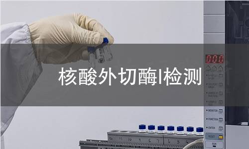 核酸外切酶I檢測 核酸外切酶I檢測