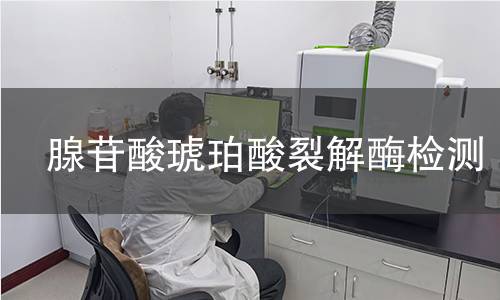 腺苷酸琥珀酸裂解酶檢測 腺苷酸琥珀酸裂解酶檢測