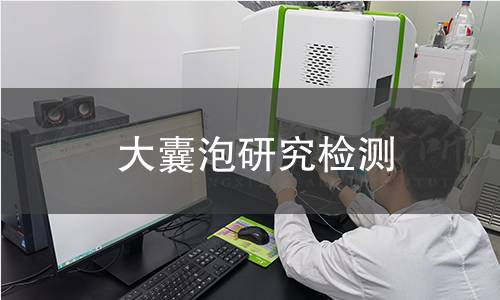 大囊泡研究檢測 大囊泡研究檢測