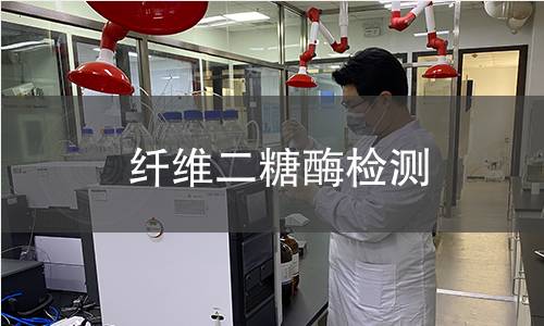 纖維二糖酶檢測