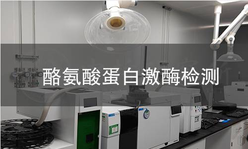 酪氨酸蛋白激酶檢測 酪氨酸蛋白激酶檢測