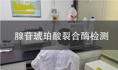 腺苷琥珀酸裂合酶檢測 腺苷琥珀酸裂合酶檢測