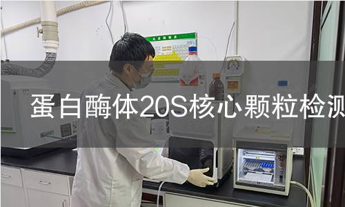 蛋白酶體20S核心顆粒檢測 蛋白酶體20S核心顆粒檢測