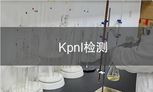 KpnI檢測 KpnI檢測