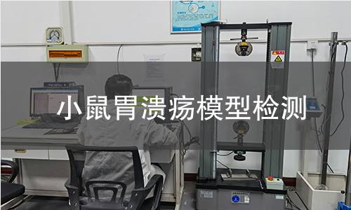 小鼠胃潰瘍模型檢測 小鼠胃潰瘍模型檢測