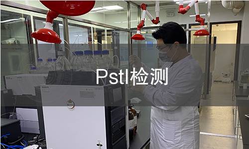 PstI檢測 PstI檢測