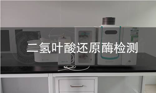 二氫葉酸還原酶檢測 二氫葉酸還原酶檢測