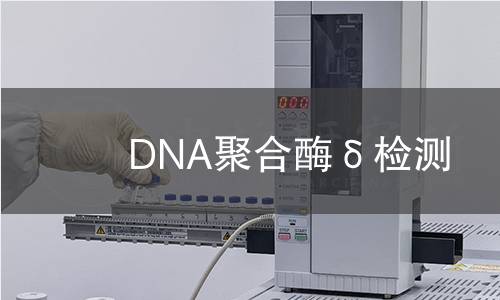 DNA聚合酶δ檢測(cè) DNA聚合酶δ檢測(cè)