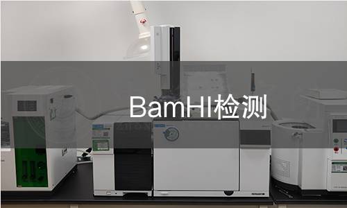 BamHI檢測(cè) BamHI檢測(cè)
