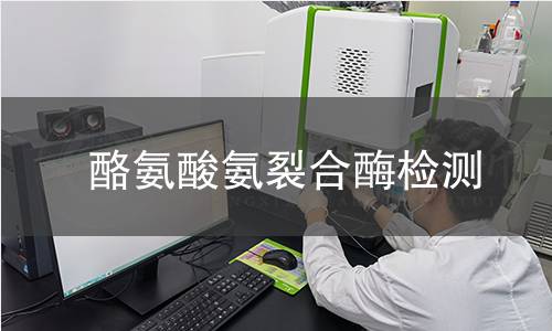 酪氨酸氨裂合酶檢測 酪氨酸氨裂合酶檢測