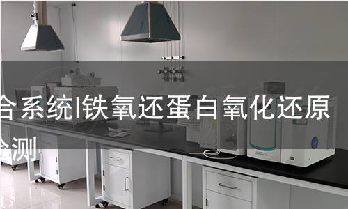 光合系統(tǒng)I鐵氧還蛋白氧化還原酶檢測(cè) 光合系統(tǒng)I鐵氧還蛋白氧化還原酶檢測(cè)