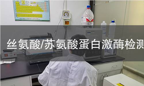 絲氨酸/蘇氨酸蛋白激酶檢測 絲氨酸/蘇氨酸蛋白激酶檢測