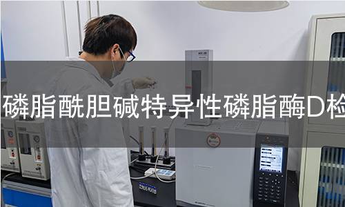 磷脂酰膽堿特異性磷脂酶D檢測 磷脂酰膽堿特異性磷脂酶D檢測