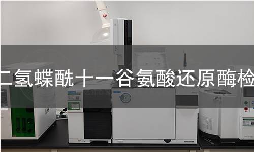 二氫蝶酰十一谷氨酸還原酶檢測(cè) 二氫蝶酰十一谷氨酸還原酶檢測(cè)