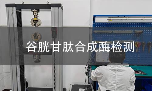 谷胱甘肽合成酶檢測 谷胱甘肽合成酶檢測