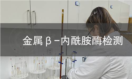 金屬β-內酰胺酶檢測 金屬β-內酰胺酶檢測