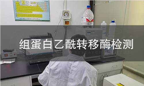 組蛋白乙酰轉移酶檢測 組蛋白乙酰轉移酶檢測