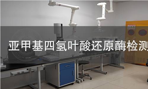 亞甲基四氫葉酸還原酶檢測 亞甲基四氫葉酸還原酶檢測