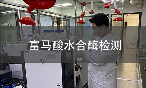 富馬酸水合酶檢測 富馬酸水合酶檢測