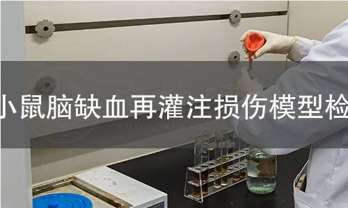 小鼠腦缺血再灌注損傷模型檢測 小鼠腦缺血再灌注損傷模型檢測