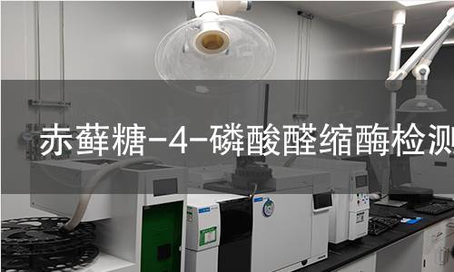 赤蘚糖-4-磷酸醛縮酶檢測(cè) 赤蘚糖-4-磷酸醛縮酶檢測(cè)