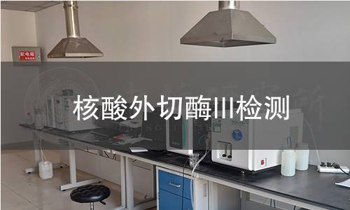 核酸外切酶III檢測(cè) 核酸外切酶III檢測(cè)