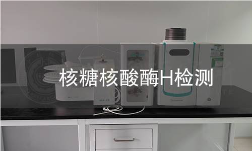 核糖核酸酶H檢測 核糖核酸酶H檢測