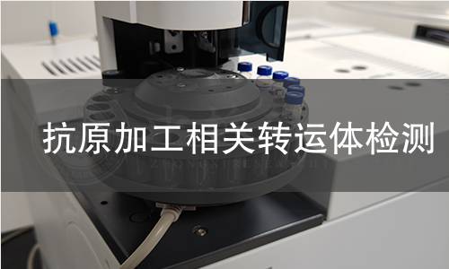 抗原加工相關(guān)轉(zhuǎn)運(yùn)體檢測(cè) 抗原加工相關(guān)轉(zhuǎn)運(yùn)體檢測(cè)