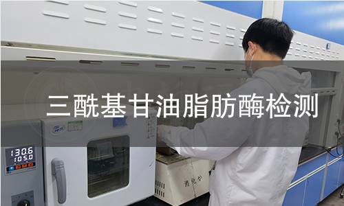 三酰基甘油脂肪酶檢測 三酰基甘油脂肪酶檢測