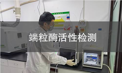 端粒酶活性檢測 端粒酶活性檢測