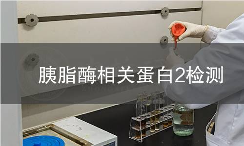 胰脂酶相關蛋白2檢測 胰脂酶相關蛋白2檢測
