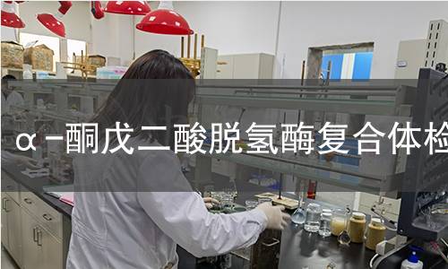 α-酮戊二酸脫氫酶復(fù)合體檢測 α-酮戊二酸脫氫酶復(fù)合體檢測