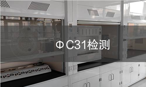 ΦC31檢測 ΦC31檢測