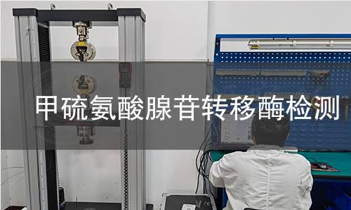 甲硫氨酸腺苷轉移酶檢測 甲硫氨酸腺苷轉移酶檢測