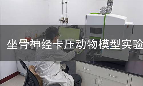 坐骨神經卡壓動物模型實驗