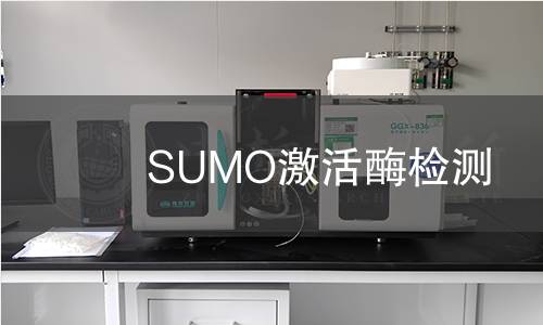 SUMO激活酶檢測 SUMO激活酶檢測
