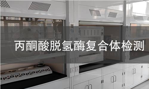 丙酮酸脫氫酶復合體檢測 丙酮酸脫氫酶復合體檢測