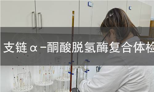 支鏈α-酮酸脫氫酶復(fù)合體檢測 支鏈α-酮酸脫氫酶復(fù)合體檢測