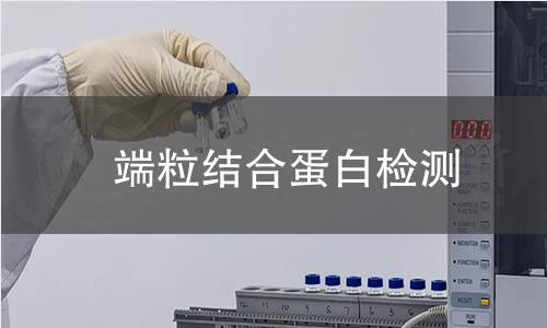 端粒結合蛋白檢測 端粒結合蛋白檢測