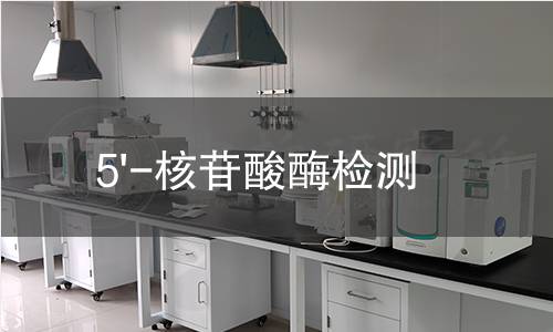5'-核苷酸酶檢測 5'-核苷酸酶檢測