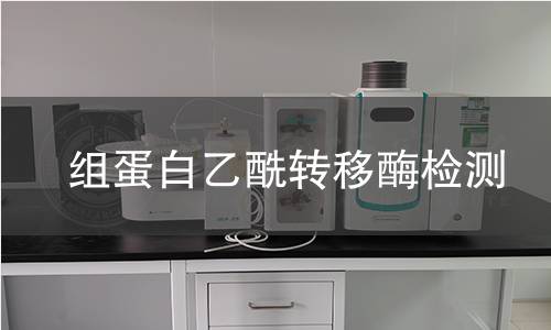 組蛋白乙酰轉移酶檢測 組蛋白乙酰轉移酶檢測