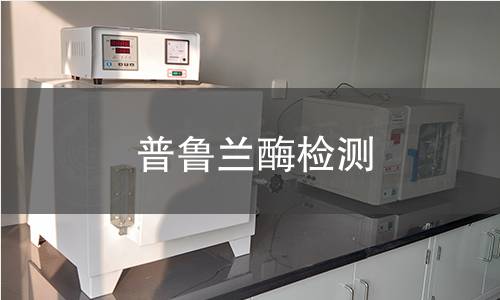 普魯蘭酶檢測 普魯蘭酶檢測