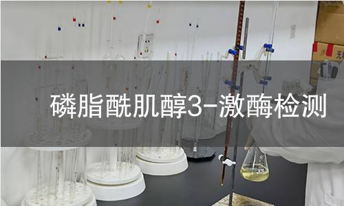 磷脂酰肌醇3-激酶檢測 磷脂酰肌醇3-激酶檢測