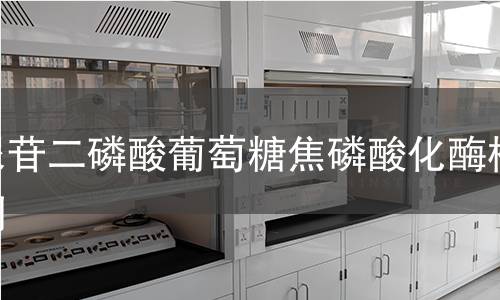 尿苷二磷酸葡萄糖焦磷酸化酶檢測(cè) 尿苷二磷酸葡萄糖焦磷酸化酶檢測(cè)