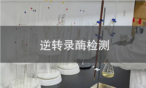 逆轉錄酶檢測 逆轉錄酶檢測