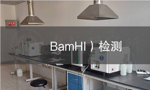 BamHI)檢測 BamHI)檢測