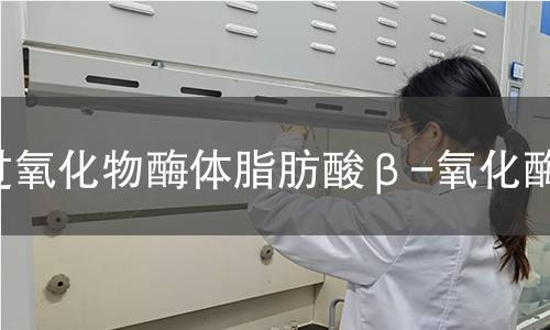  過氧化物酶體脂肪酸β-氧化酶檢測